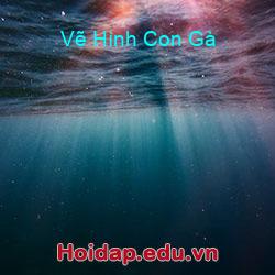 Vẽ Hình Con Gà