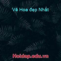 Vẽ Hoa đẹp Nhất
