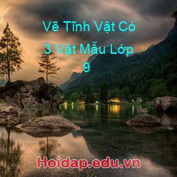 Vẽ Tĩnh Vật Có 3 Vật Mẫu Lớp 9