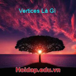 Vertices Là Gì