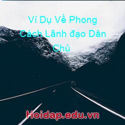 Ví Dụ Về Phong Cách Lãnh đạo Dân Chủ