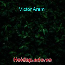 Victor Aram