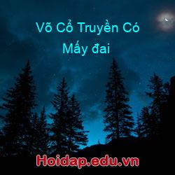 Võ Cổ Truyền Có Mấy đai