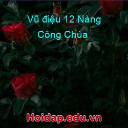 Vũ điệu 12 Nàng Công Chúa
