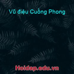 Vũ điệu Cuồng Phong