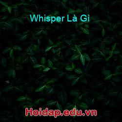 Whisper Là Gì