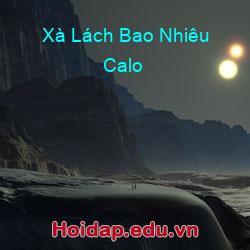 Xà Lách Bao Nhiêu Calo