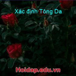 Xác định Tông Da
