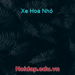 Xe Hoa Nhỏ
