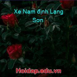Xe Nam định Lạng Sơn