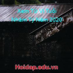 Xem Tử Vi Tuổi Nhâm Tý Năm 2020