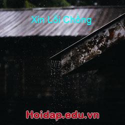 Xin Lỗi Chồng
