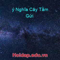 ý Nghĩa Cây Tầm Gửi