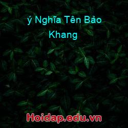 ý Nghĩa Tên Bảo Khang