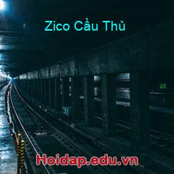 Zico Cầu Thủ