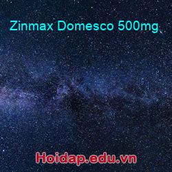 Zinmax Domesco 500mg